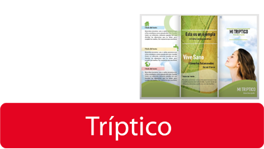 impresion de tripticos